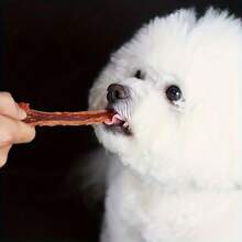 Chicken or Duck Jerky Pet Snacks – High Protein Treats for Dogs & Cats