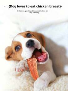 Chicken Breast Jerky Dog Treats – High-Protein Natural Pet Snacks