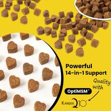 8-in-1 & 14-in-1 Dog Multivitamin Complex – Phospholipid Formula Pet Health Supplement