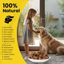 8-in-1 & 14-in-1 Dog Multivitamin Complex – Phospholipid Health Supplement