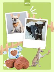 Freeze-Dried Rabbit Pet Treats for Cats & Dogs – Interactive Mixed Snacks (200g–800g)