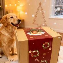 Full Variety Cat & Dog Gift Box Set – Chew Toys, Treats & Interactive Plush Play Kit