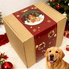 Full Variety Cat & Dog Gift Box Set – Chew Toys, Treats & Interactive Plush Play Kit