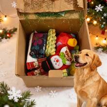 Full Variety Cat & Dog Gift Box Set – Chew Toys, Treats & Interactive Plush Play Kit