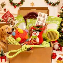Full Variety Cat & Dog Gift Box Set – Chew Toys, Treats & Interactive Plush Play Kit