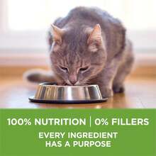 Purina ONE Indoor Advantage Dry Cat Food – Natural Low Fat Weight Control Formula, 3.5 lb Bag