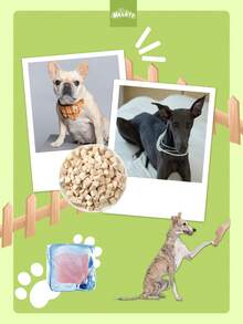 Freeze-Dried Chicken Cat & Dog Treats – Mixed Crunchy Pet Snacks (100g–600g)