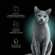 Sheba Perfect Portions Wet Cat Food Cuts in Gravy – Tuna & Roasted Chicken Entrée