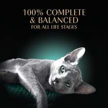 Sheba Perfect Portions Wet Cat Food Cuts in Gravy – Tuna & Roasted Chicken Entrée