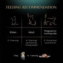 Sheba Perfect Portions Wet Cat Food Cuts in Gravy – Tuna & Roasted Chicken Entrée