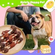 3-Flavor Dental Chews & BBQ Skewers for Dogs – Pet Snacks (100g–400g)