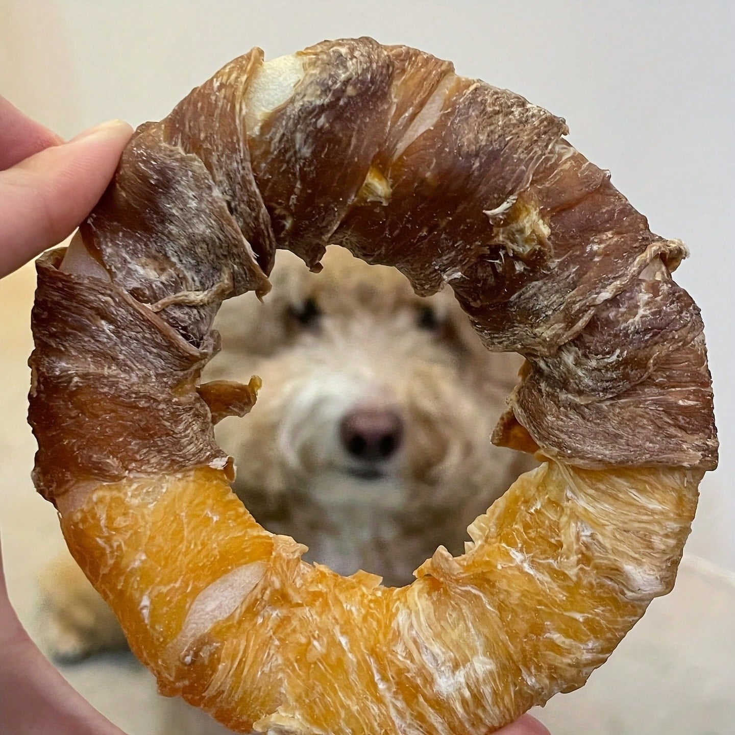5-Inch Chicken & Duck Wrapped Rawhide Donut Dog Chews – Long-Lasting High Protein Treats for Medium & Large Dogs