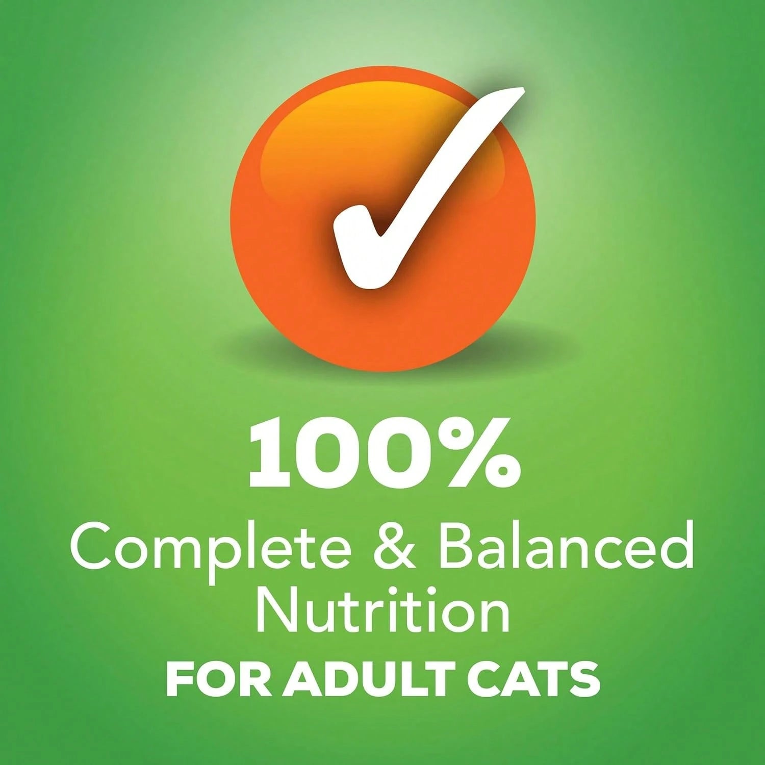 Friskies Wet Cat Food Pâté Variety Pack – Salmon, Turkey & Giblets, Mixed Grill (2 x 12 Pack)