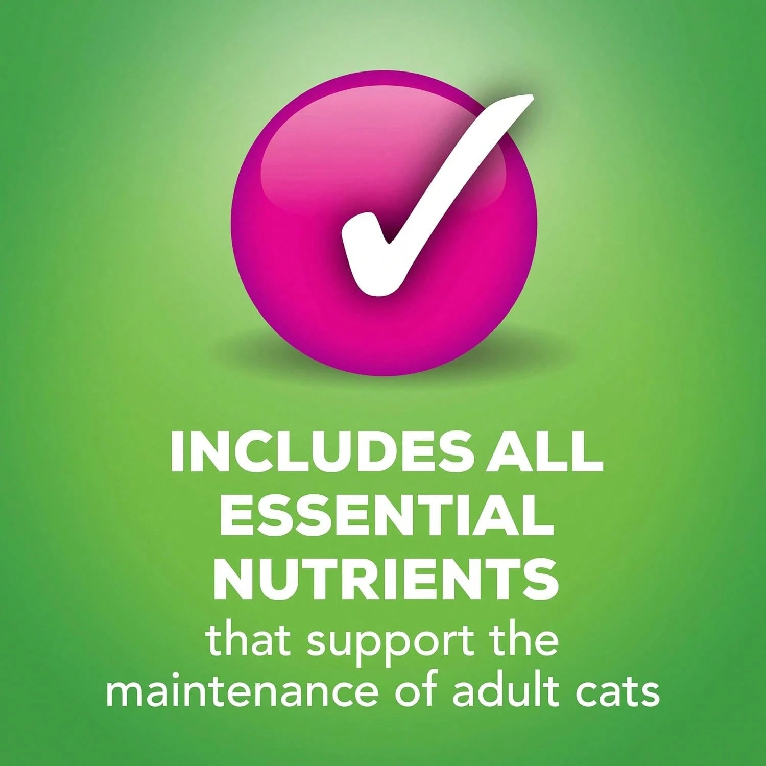 Friskies Wet Cat Food Pâté Variety Pack – Salmon, Turkey & Giblets, Mixed Grill (2 x 12 Pack)
