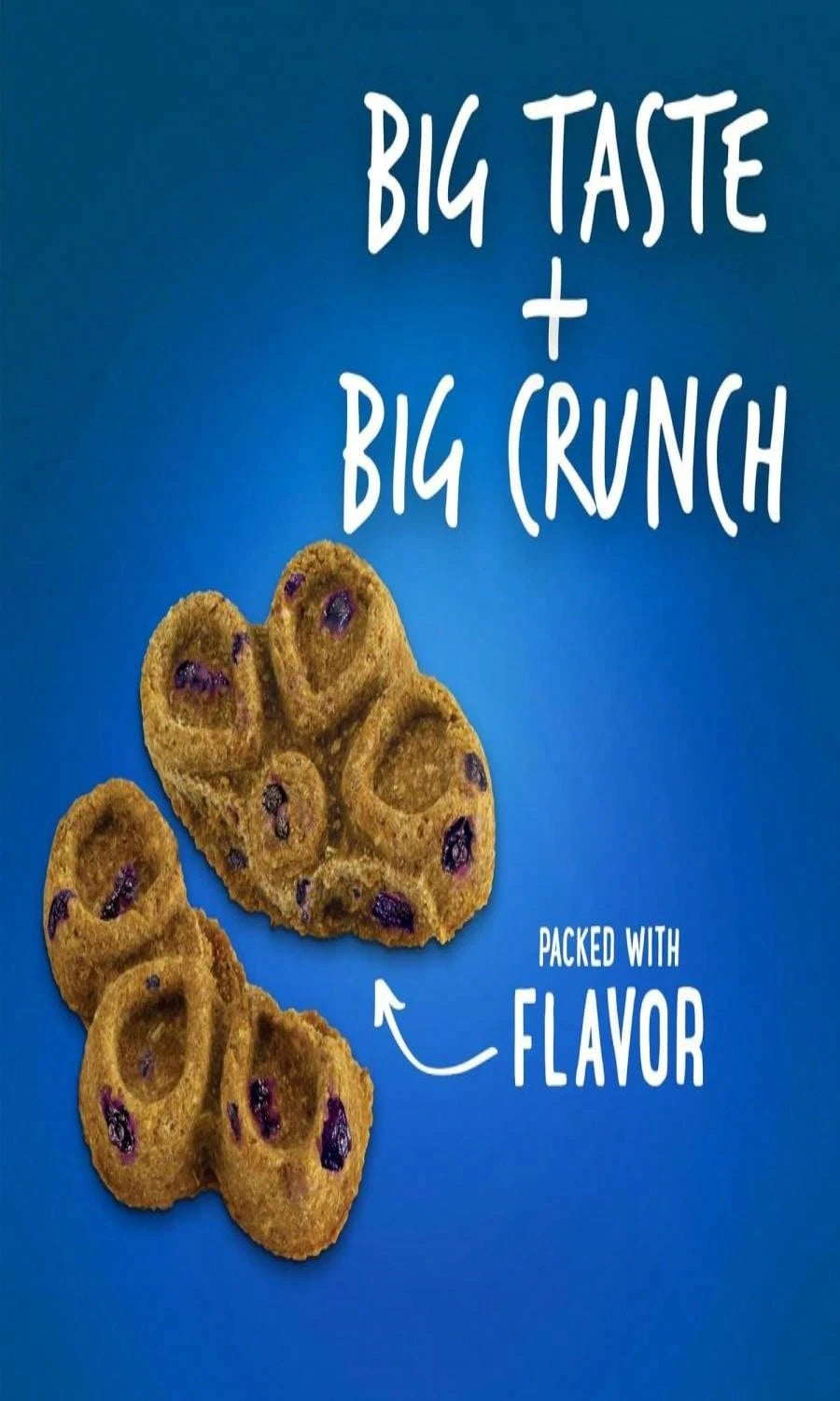 Fruitables Biggies Dog Biscuits – Crispy Apple & Bacon Pumpkin Crunch Treats (16 oz, Wheat-Free)