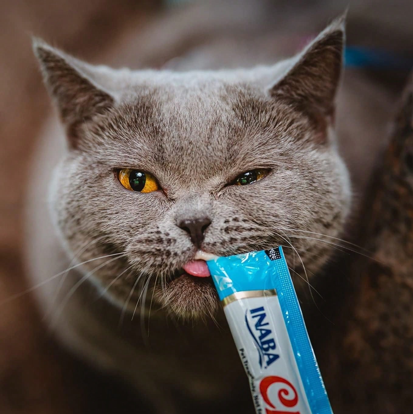 INABA Churu Lickable Cat Treats – Tuna Recipe Creamy Purée (4 Tube Pack)