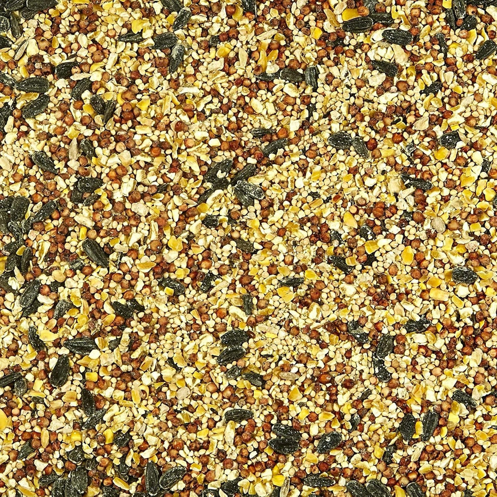 Kaytee Wild Bird Food Seed Blend for Cardinals, Blue Jays, Finches & Outdoor Birds – 5 lb Bag
