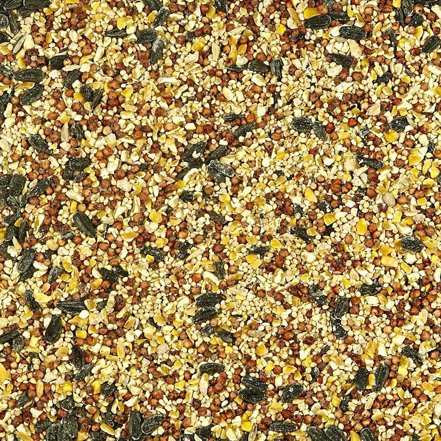 Kaytee Wild Bird Food Seed Blend for Cardinals, Blue Jays, Finches & Outdoor Birds – 5 lb Bag