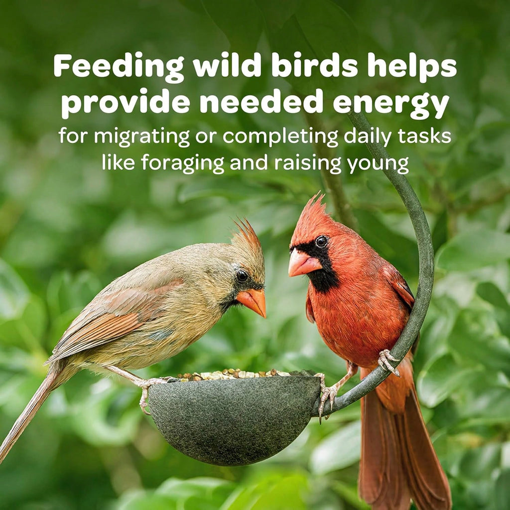 Kaytee Wild Bird Food Seed Blend for Cardinals, Blue Jays, Finches & Outdoor Birds – 5 lb Bag