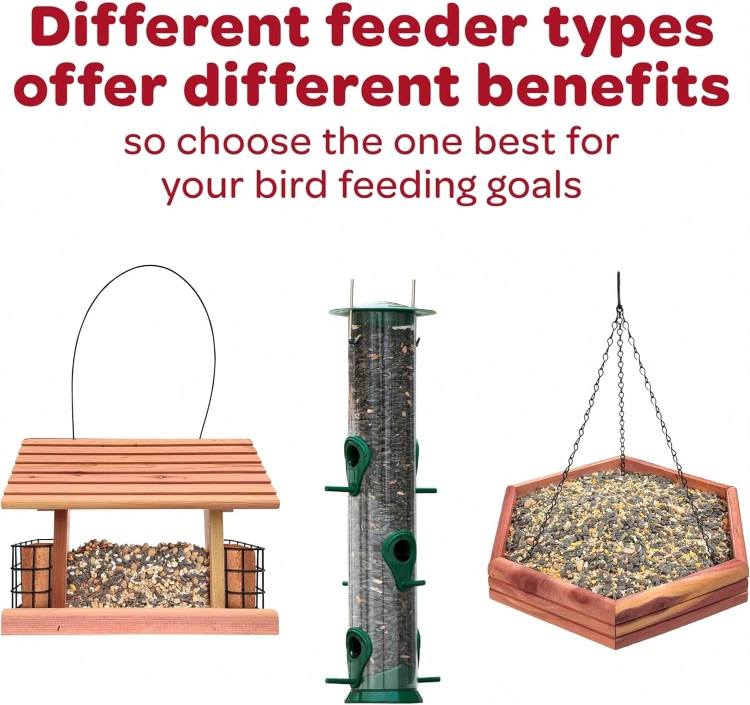 Kaytee Wild Bird Food Seed Blend for Cardinals, Blue Jays, Finches & Outdoor Birds – 5 lb Bag