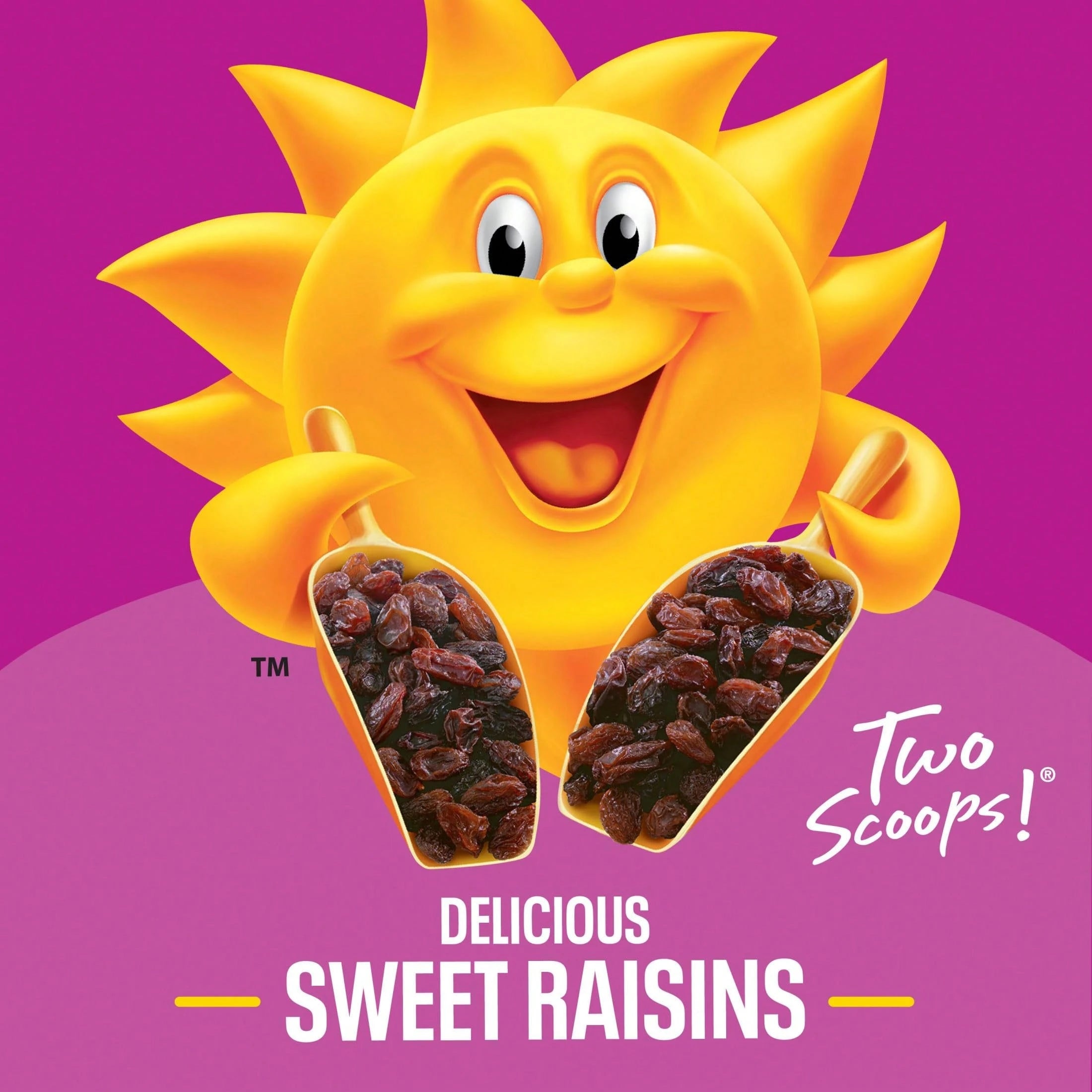 Kellogg’s Raisin Bran Breakfast Cereal – High Fiber Whole Grain (20.9 oz Large Size)