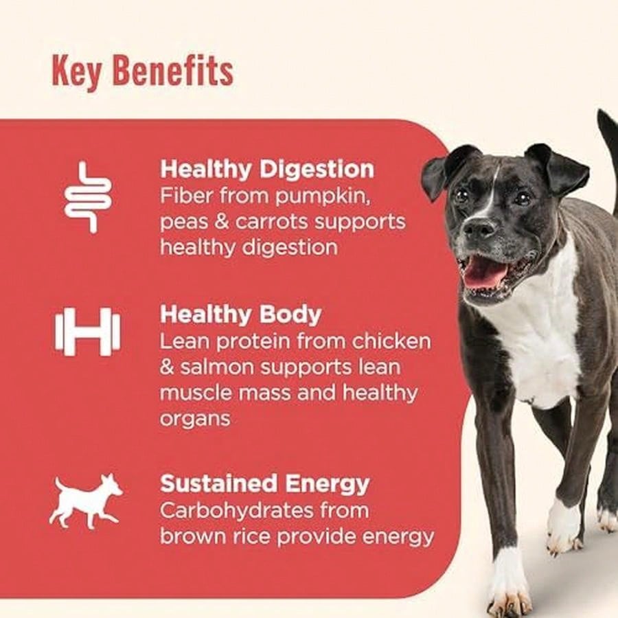 Nutrish Premium Paté Wet Dog Food – Real Chicken & Apple Recipe Whole Health Blend (13 oz, 12 Pack)