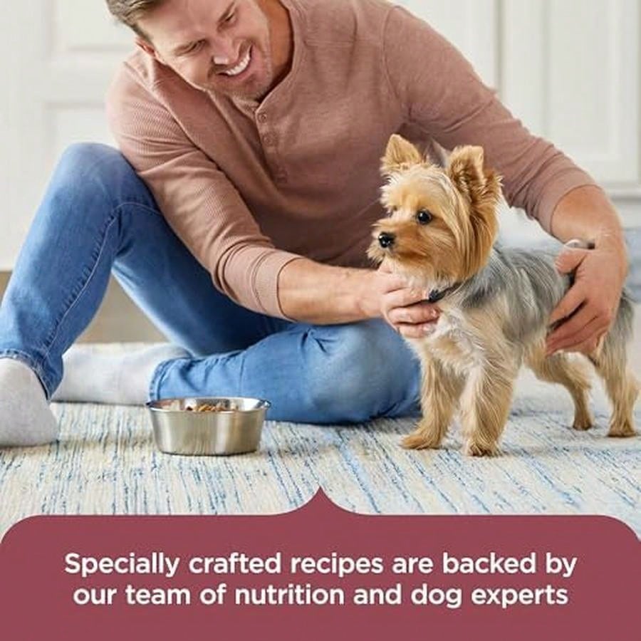 Rachael Ray Nutrish Small Breed Dry Dog Food – Real Chicken & Veggies Recipe (13 lb Bag)