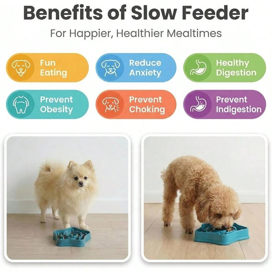 Pet Slow Feeder Bowl for Small Dogs – Puzzle Anti-Choking Slow Eating Bowl (350ml, BPA-Free)