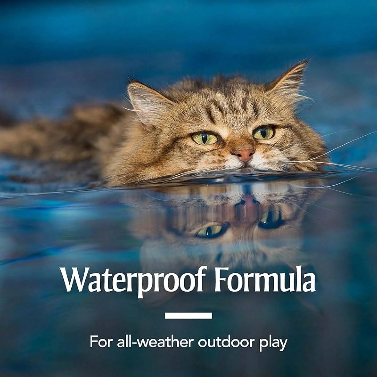 PetArmor Flea & Tick Treatment for Cats (Over 1.5 lbs) – 6 Month Topical Supply