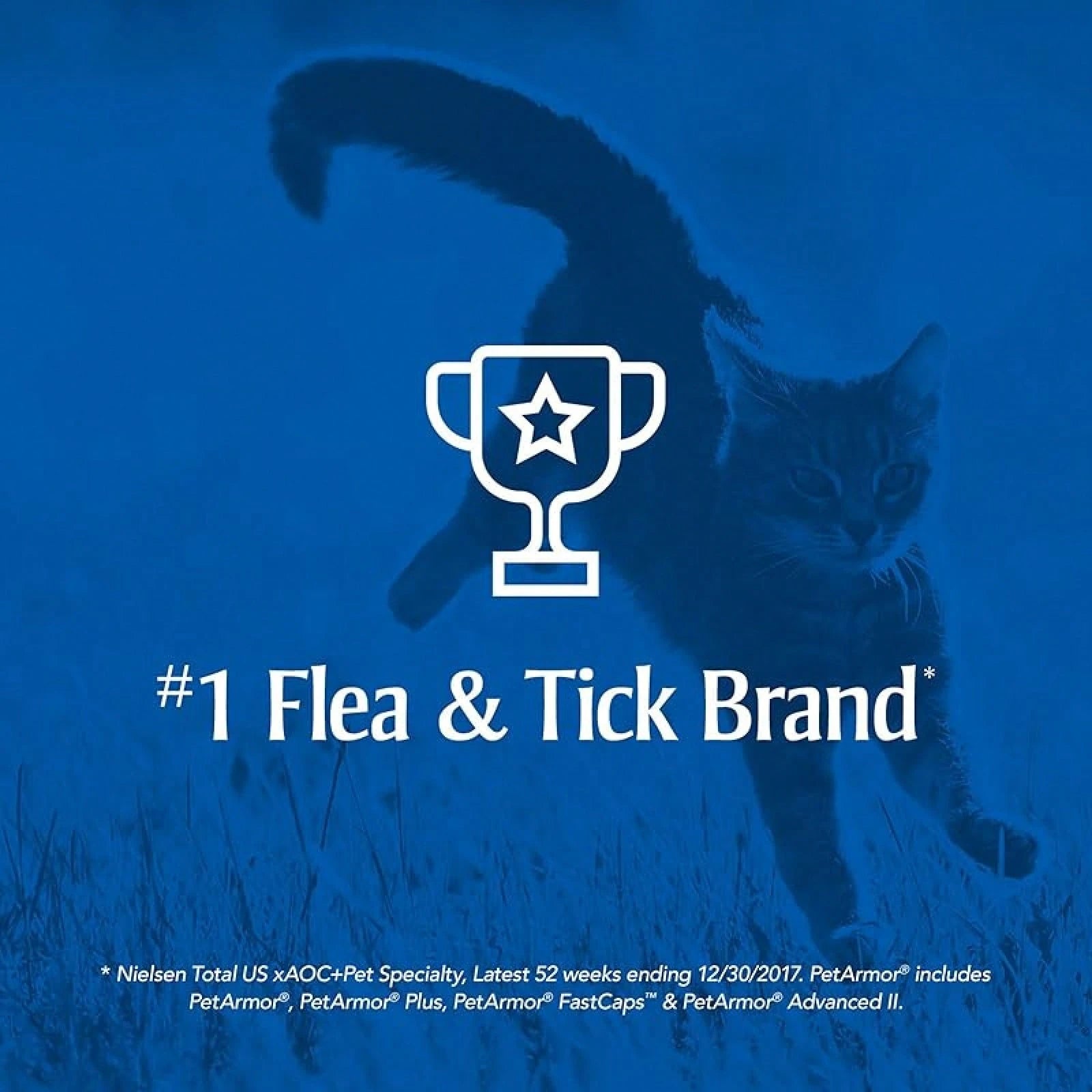 PetArmor Flea & Tick Treatment for Cats (Over 1.5 lbs) – 6 Month Topical Supply