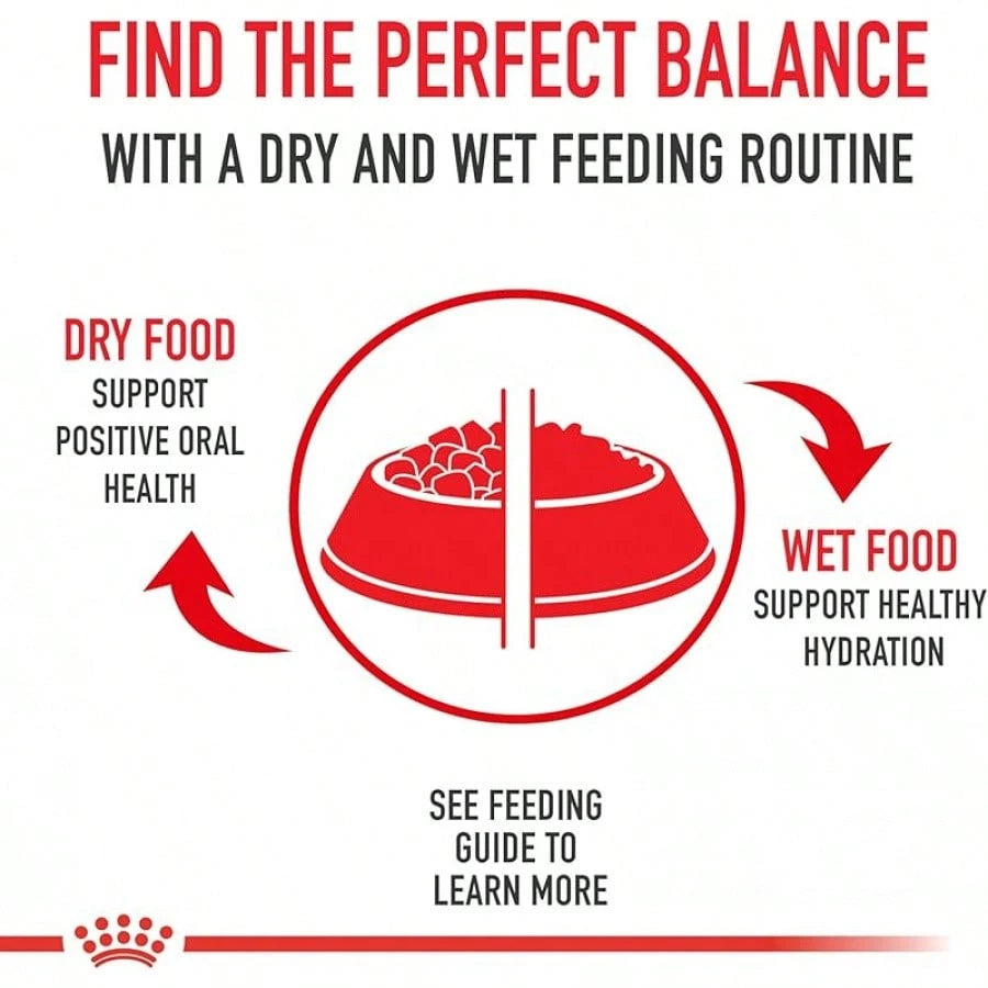 Royal Canin Digestive Care Dry Cat Food – 6 lb Bag