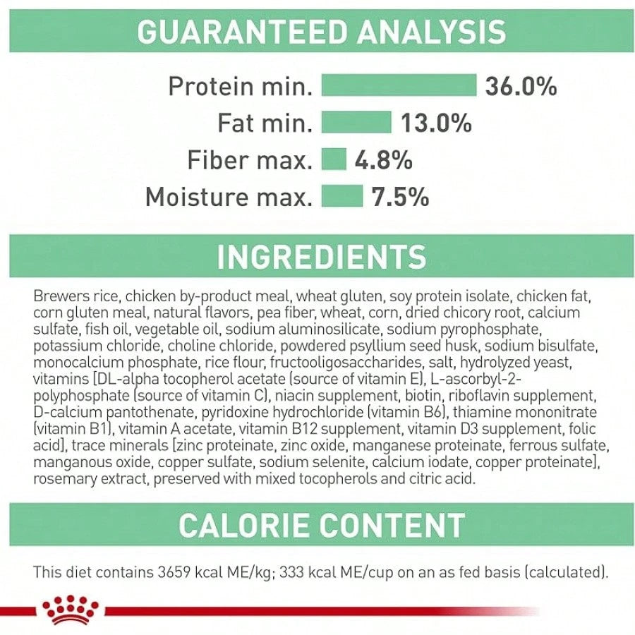 Royal Canin Digestive Care Dry Cat Food – 6 lb Bag