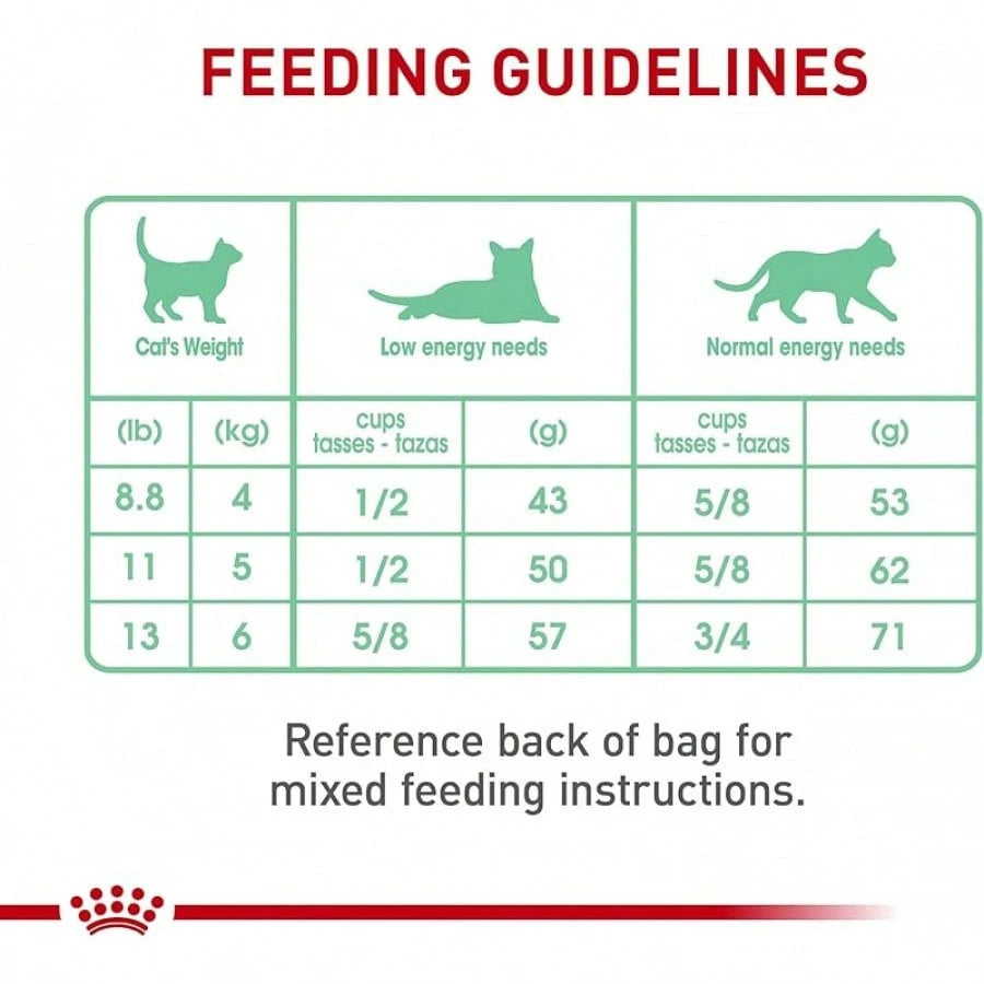 Royal Canin Digestive Care Dry Cat Food – 6 lb Bag