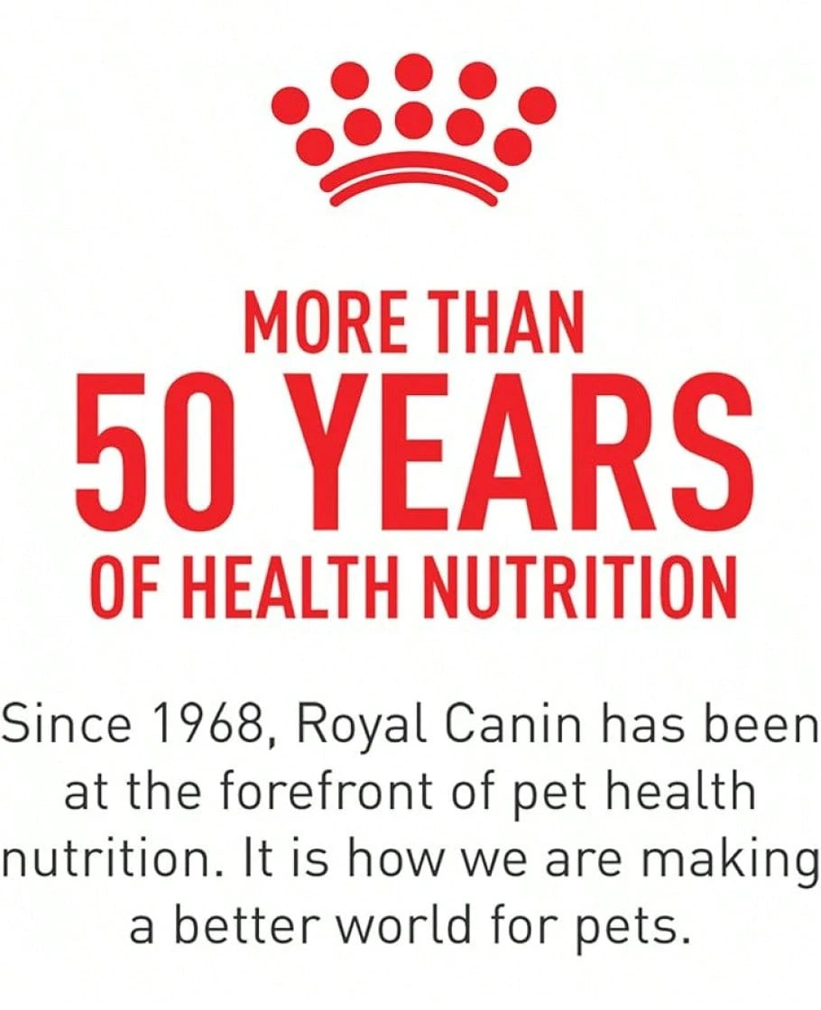 Royal Canin Digestive Care Dry Cat Food – 6 lb Bag