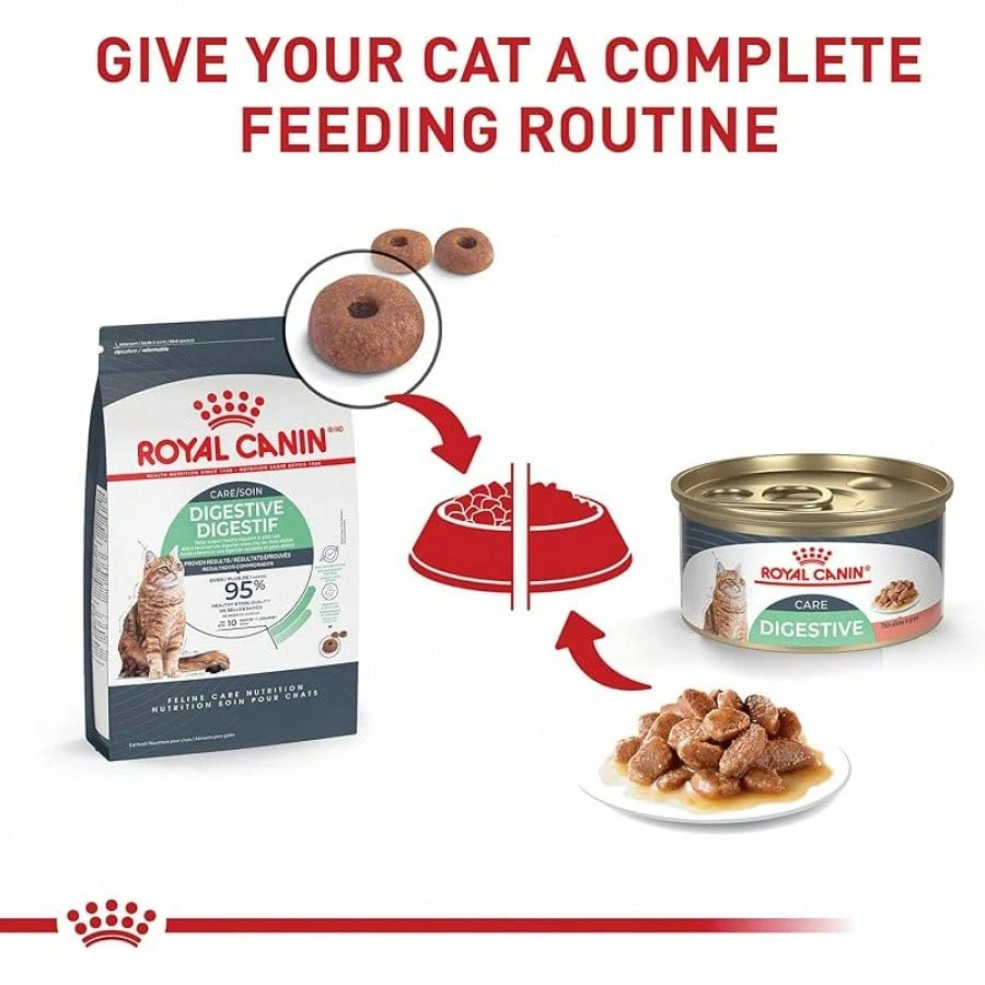 Royal Canin Digestive Care Dry Cat Food – 6 lb Bag