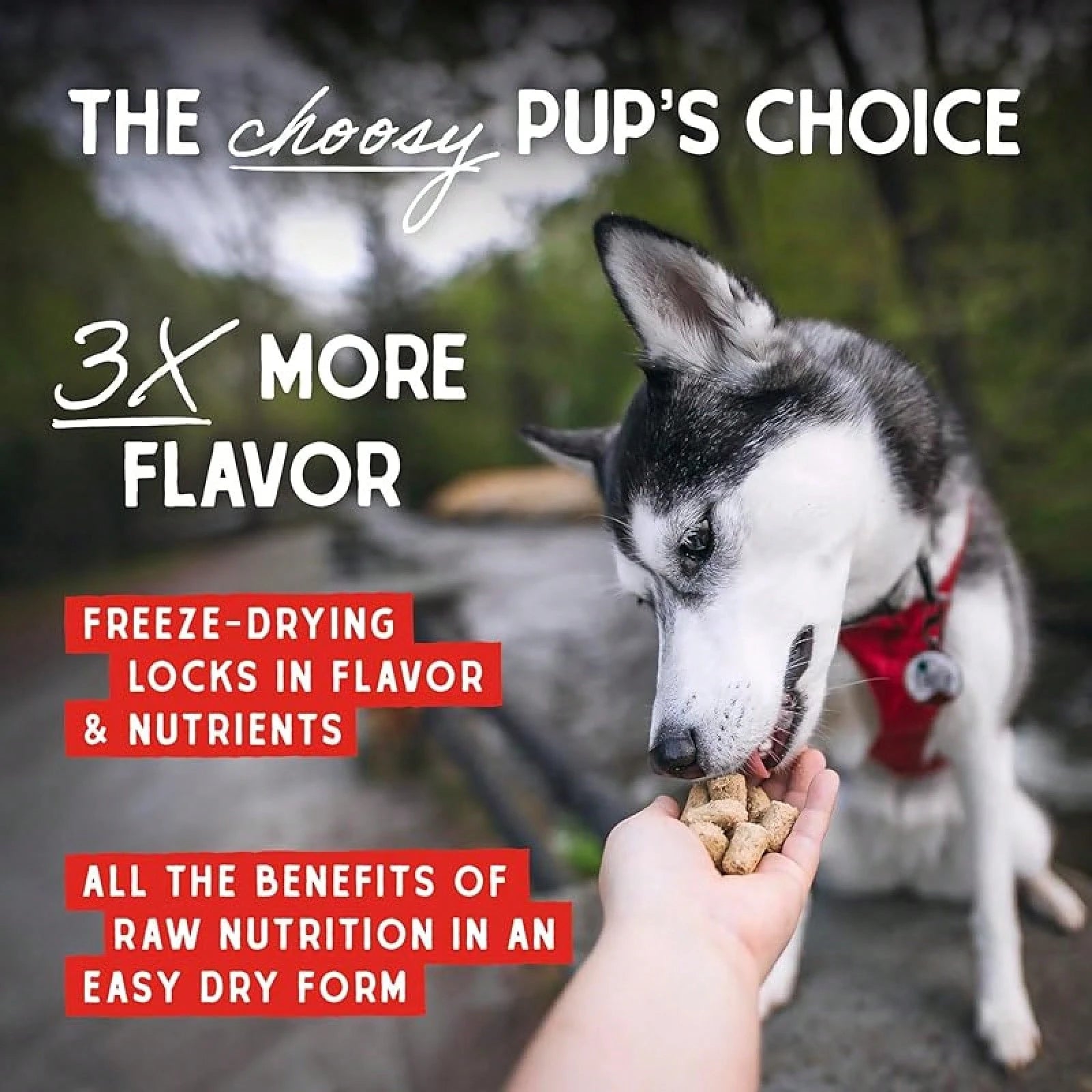 Stella & Chewy’s Freeze-Dried Tantalizing Turkey Meal Mixers – Dog Food Topper (95% Turkey, Organs & Bone, 18 oz)