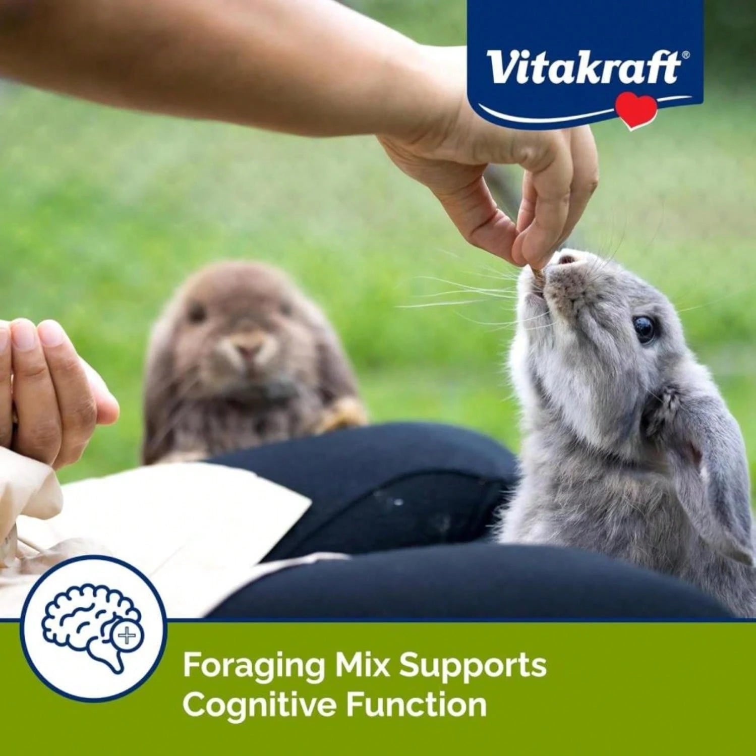 Vitakraft Vita Smart Complete Nutrition Rabbit Food – Natural Forage Blend (4 lb Bag)